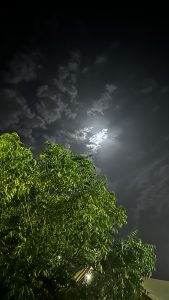 معلمة خصوصيه