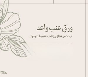 ورق عنب – معجنات مشكله