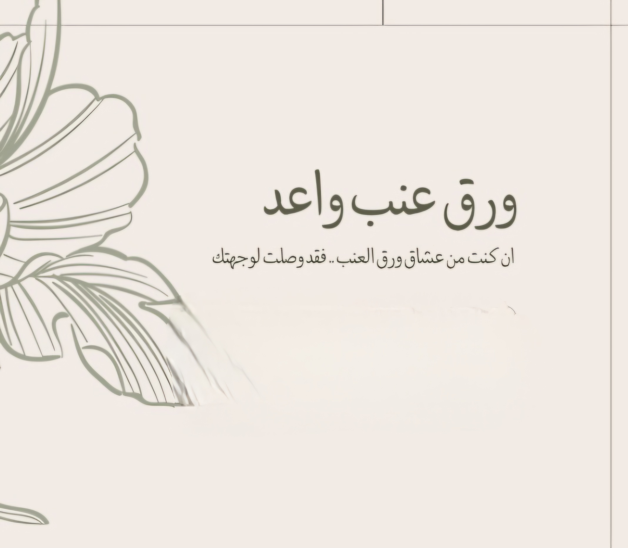 ورق عنب – معجنات مشكله