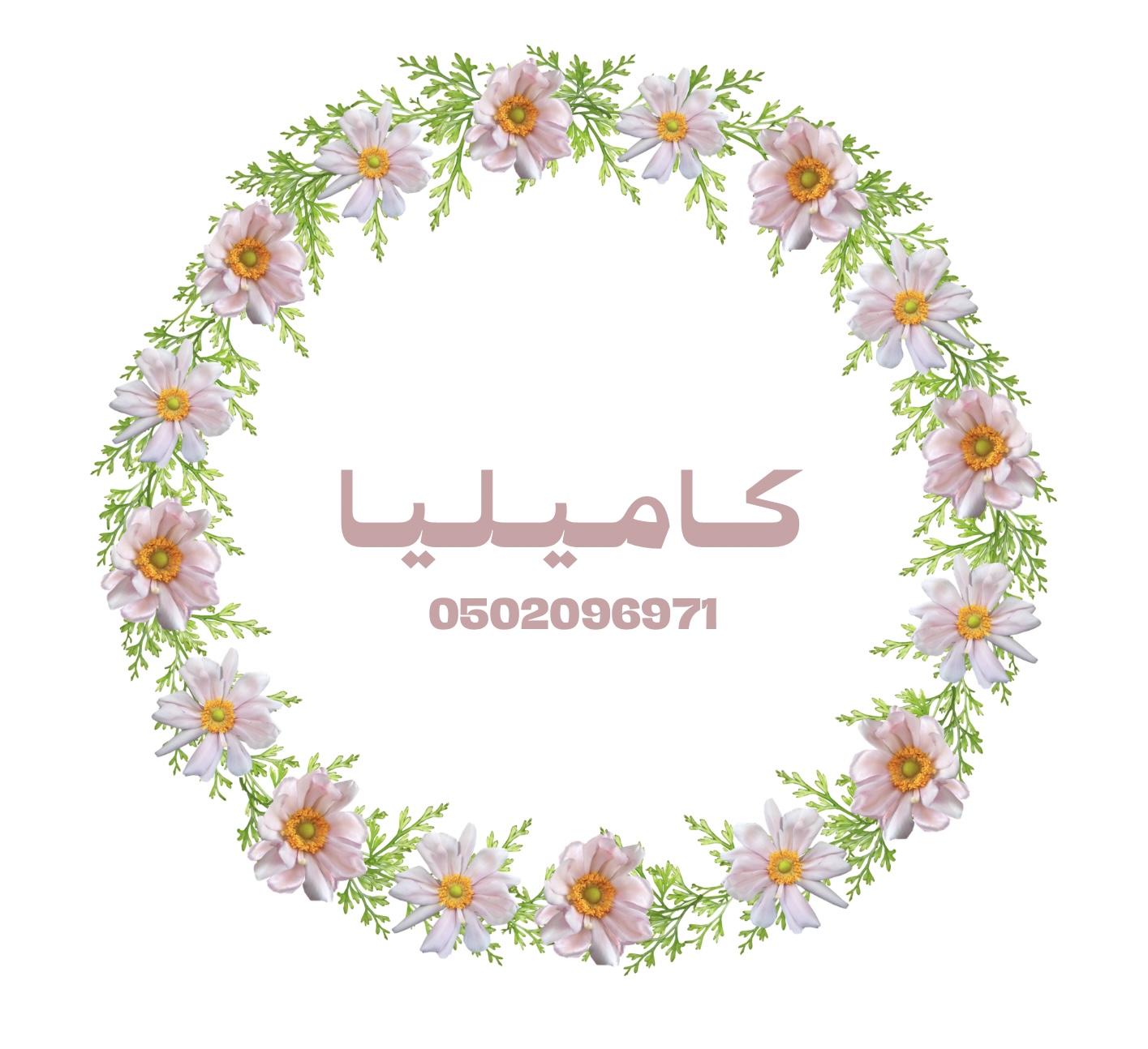 كـامـيـلـيــا