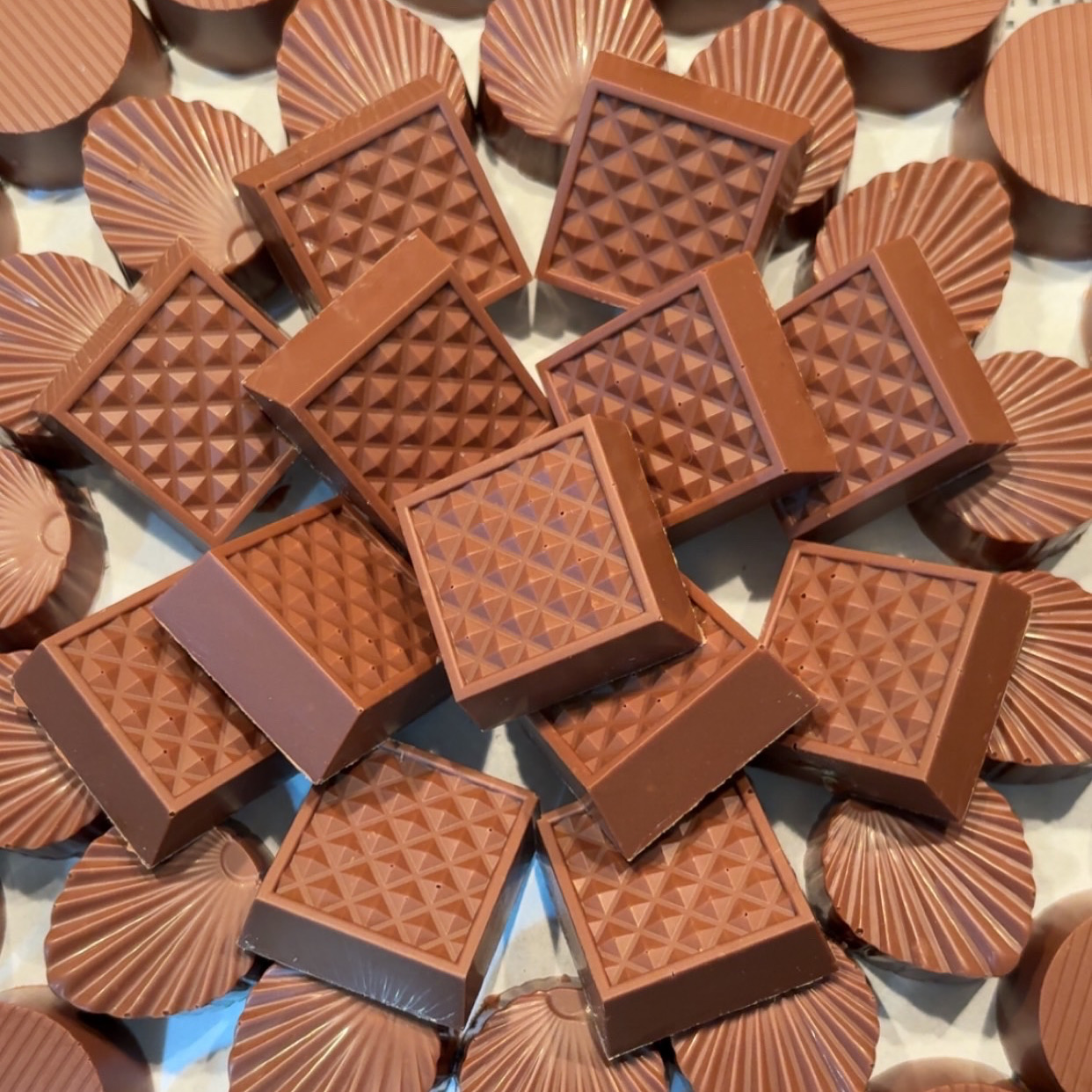 Eloria (نينا سويت)